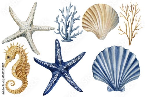 watercolor starfish seahorse coral shells collection, marine ocean creatures, tropical underwater nature illustration