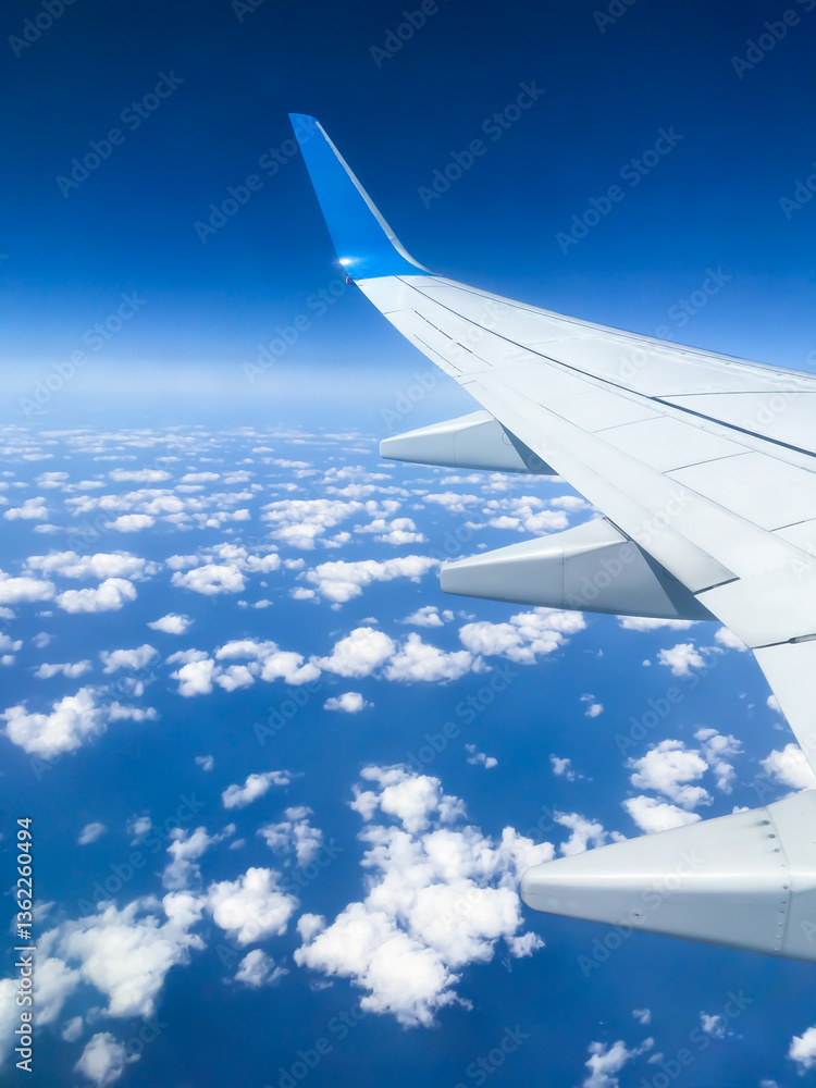 Obraz premium sky airplane clouds wing flight