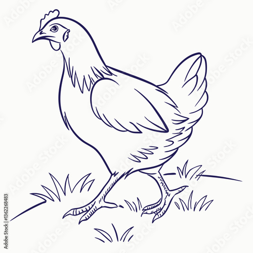 Cornish Cross Chicken Minimalist Line Drawing