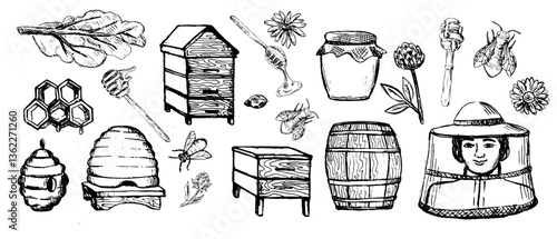 Sketch of beehive, honey jars, pots, bee and dripper spoon. Beekeeper, comb. Vintage drawing for honey production isolated on white background.