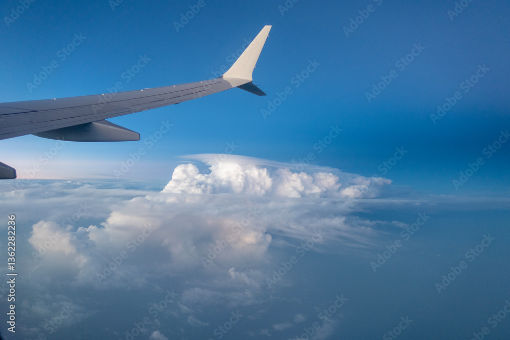 Fototapeta premium airplane in the sky