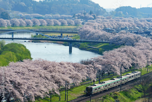 一目千本桜