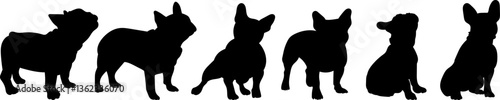 set of dog silhouettes, french bulldog in different poses, vector