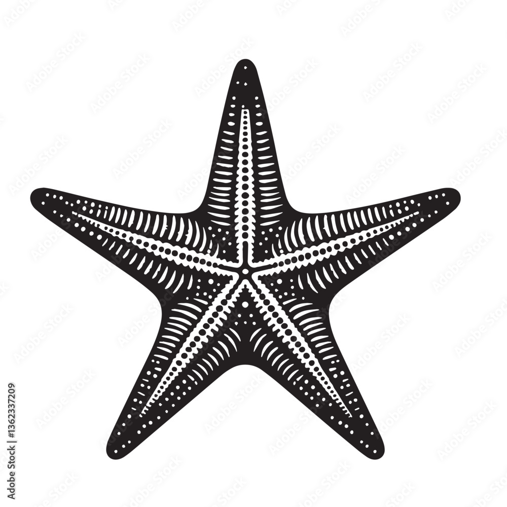 Fototapeta premium Black Color Starfish Silhouette Vector Illustration, Solid White Background
