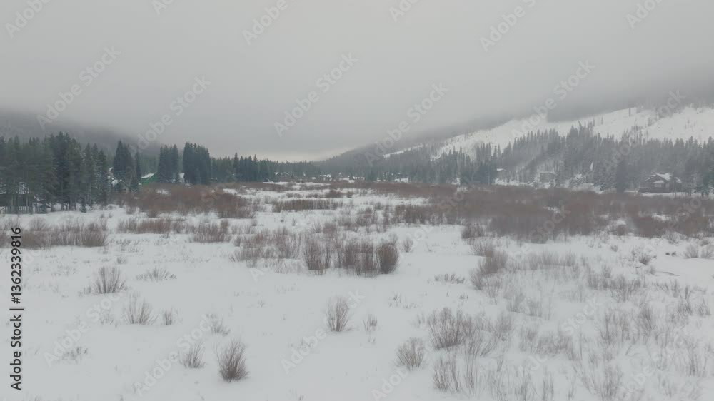 Aerial view capturing flat snow covered field with sparse, brown bushes scattered throughout in Copper Mountain of Colorado, USA. Aerial view capturing flat snow covered field with sparse, brown bushes scattered throughout in Copper Mountain of Colorado, USA.