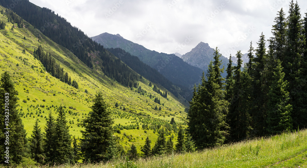 Fototapeta premium Panoramic view of Karakol Gorge, also known as Karakol Valley, Kyrgyzstan