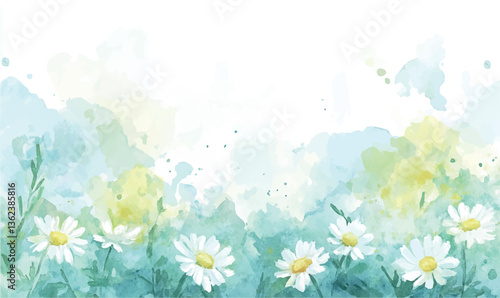 Watercolor daisy border, illustration of chamomile, white blossom flowers background, invitation card. Hand painted summer rustic wildflower