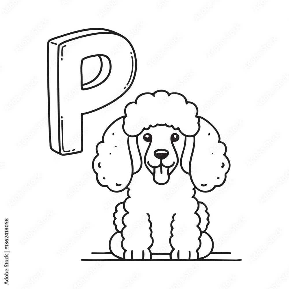 An illustration of letter P stand for poodle An illustration of letter P stand for poodle
