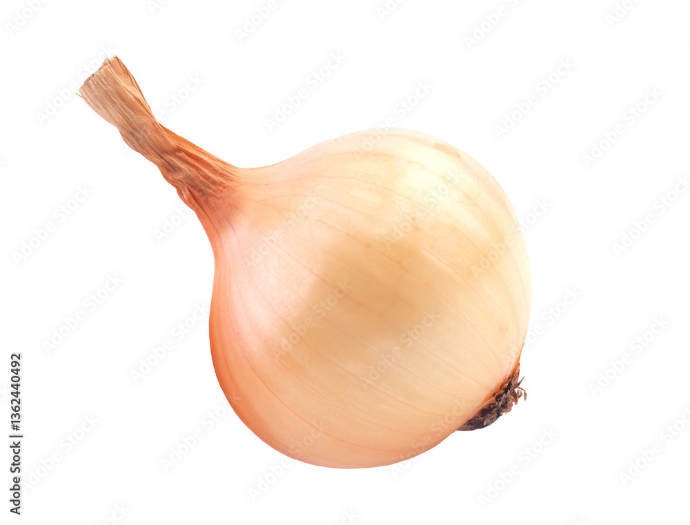 Onion isolated on white background