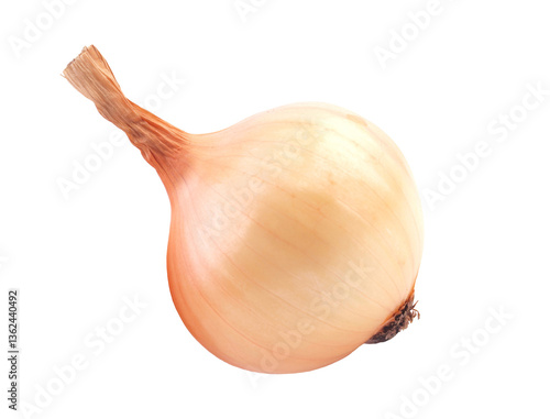Obraz na płótnie Onion isolated on white background w salonie