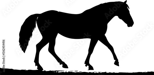 horse silhouette isolated on white