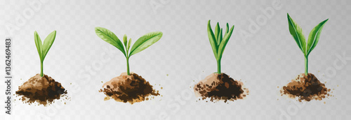 Watercolor PNG set of growing green plants. Infographic elements for planting, tree growth, agriculture, environmental conservation, and reforestation concepts.