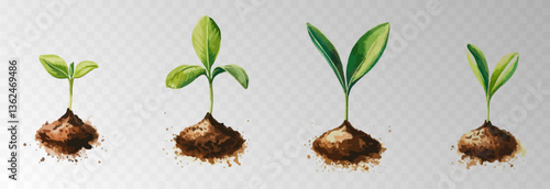 Watercolor PNG set of growing green plants. Infographic elements for planting, tree growth, agriculture, environmental conservation, and reforestation concepts.