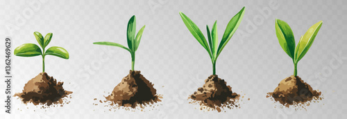 Watercolor PNG set of growing green plants. Infographic elements for planting, tree growth, agriculture, environmental conservation, and reforestation concepts.