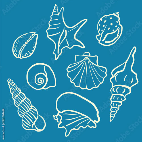 Hand drawn ink seashell illustrations. Various shell types in a minimalistic line art style. Summer, vacation, ocean, beach concept. Design elements for trendy prints, label, menu cover. 