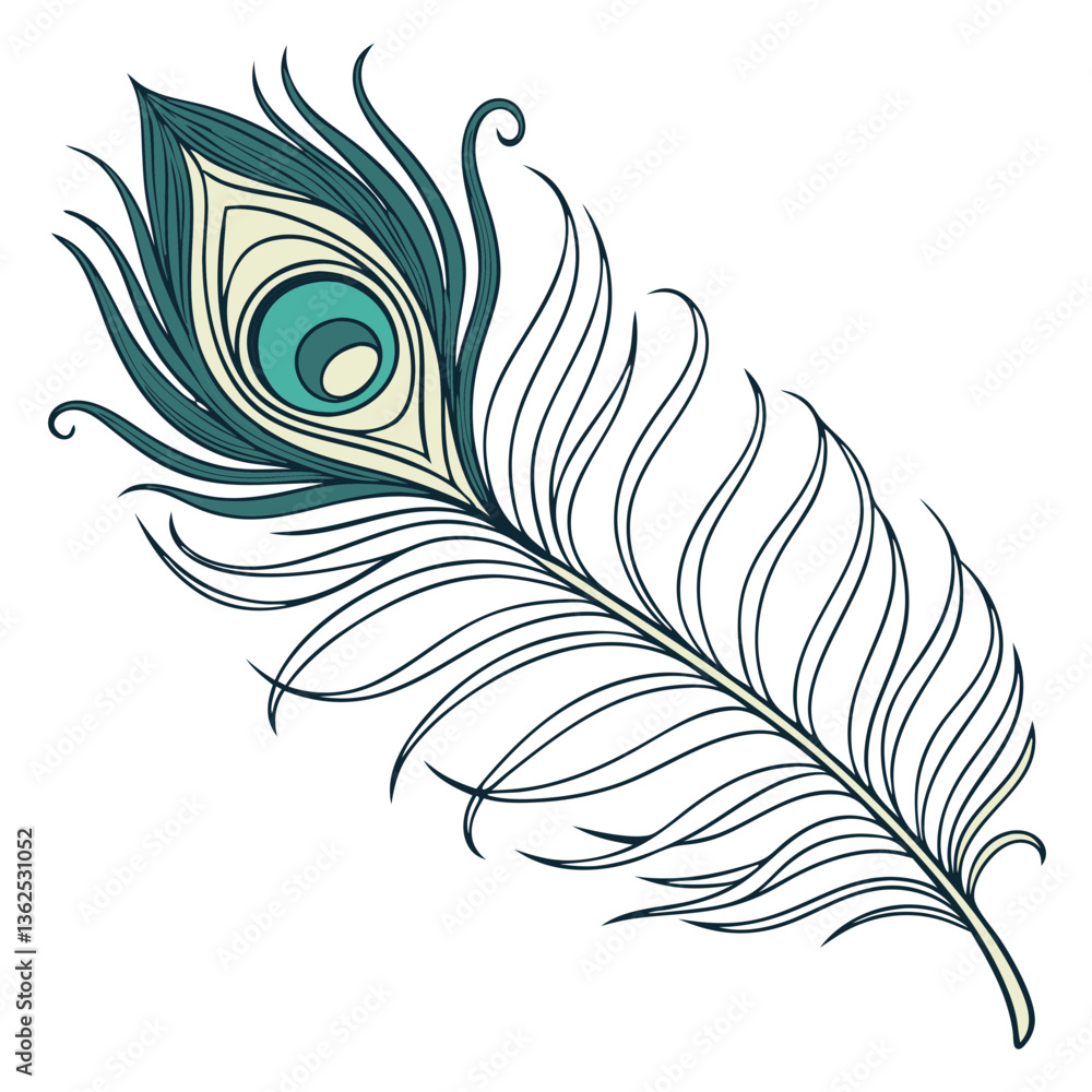 feather vector illustration feather vector illustration