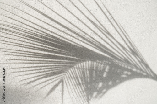 Obraz na płótnie Shadow of palm leaf on white textured background. Mock up of natural overlay lighting shadows leaves. Wall. Template. w salonie
