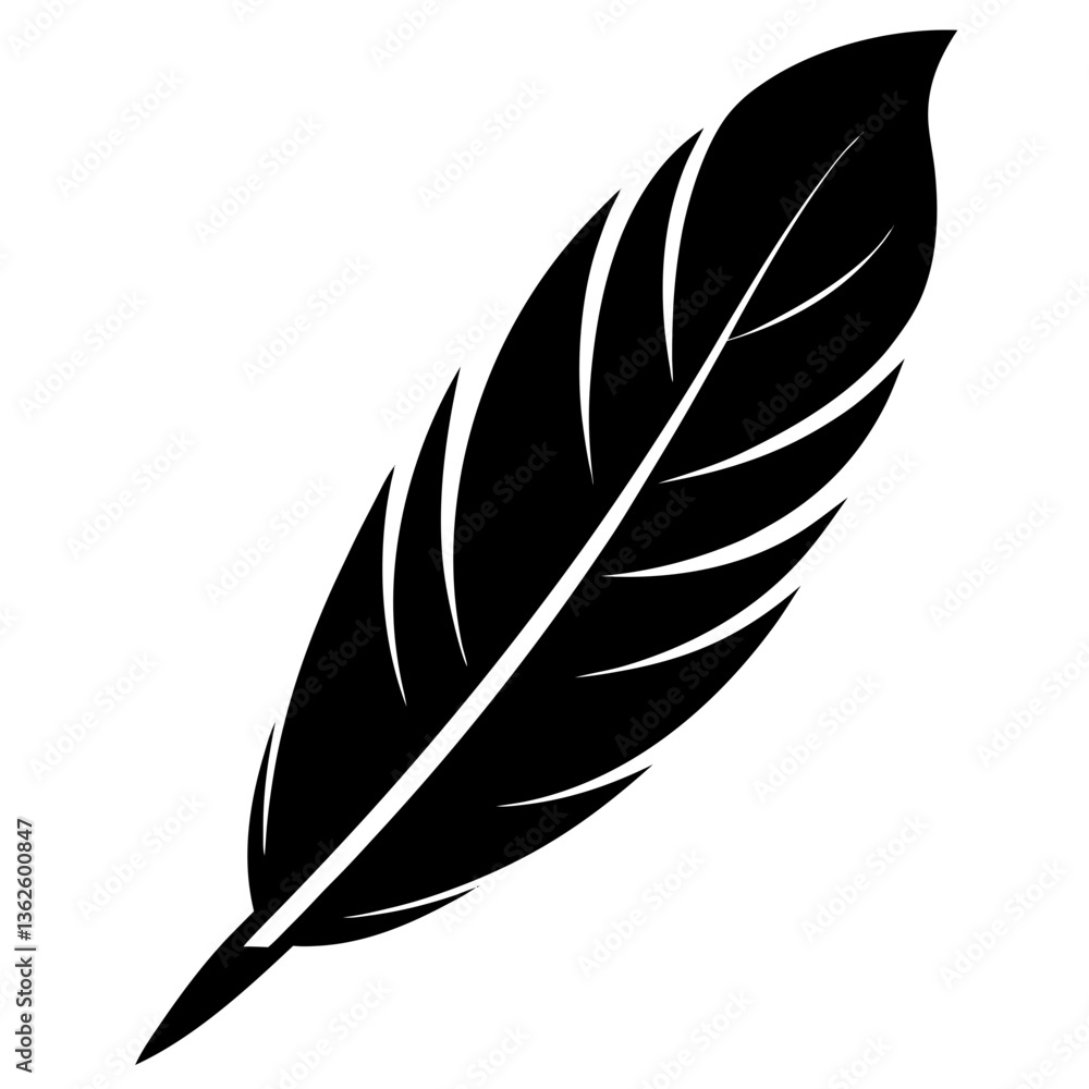 Fototapeta premium feather on white background