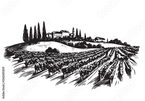 Vineyard landscape sketch black on white

