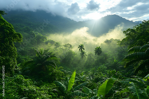Lush tropical rainforest scene, sunbeams through mist over green canopy
