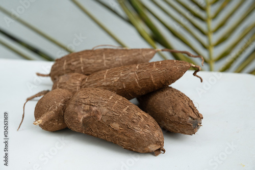 Obraz na płótnie Organic raw Cassava or manioc tuber on white table. Yucca cassava root. Popular Indonesian and local food. Close up. w salonie