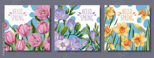Spring Square Card Set with Tulip, Daffodil and Freesia Bouquets. Floral Greeting Design for Banners, posters, Social Media, Prints and Seasonal Decor. Fresh Vector Illustrations.