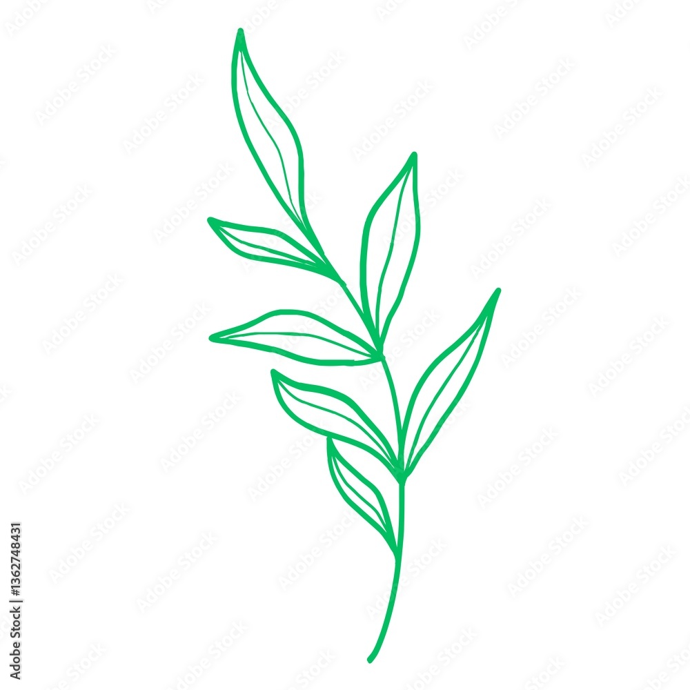 Fototapeta premium leaf