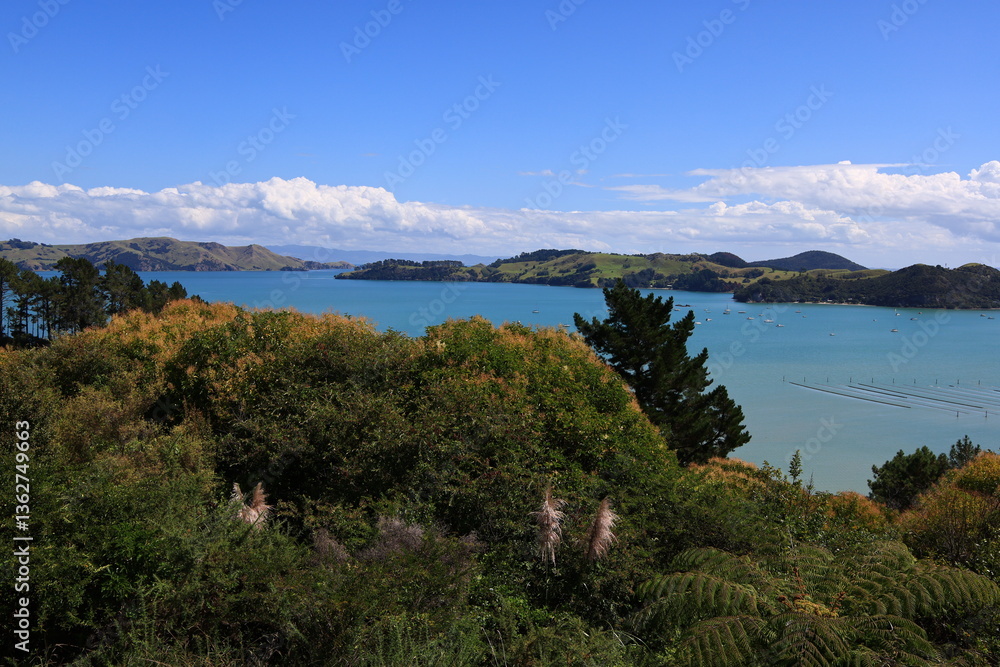 Coromandel is a town on the Coromandel Harbour, on the western side of the Coromandel Peninsula, which is in the North Island of New Zealand Coromandel is a town on the Coromandel Harbour, on the western side of the Coromandel Peninsula, which is in the North Island of New Zealand