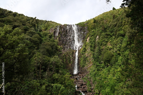 Wairere Falls is the highest waterfall in New Zealand's North Island plunges 153 metres in two steps over the Kaimai escarpment