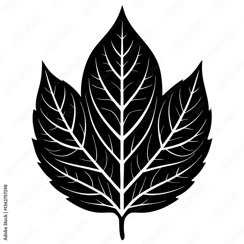 Leaf Silhouette Vector Leaf Silhouette Vector