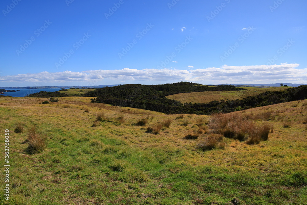 Tawharanui Regional Park is located in the Auckland region, in the northern part of New Zealand Tawharanui Regional Park is located in the Auckland region, in the northern part of New Zealand
