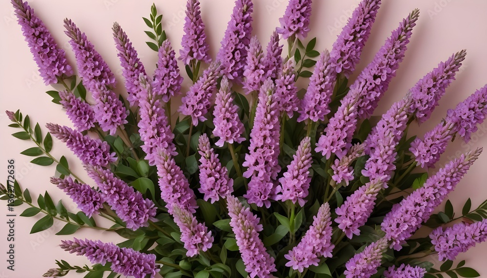 Naklejka premium A high-angle, full shot presents a collection of purple flowers arranged on the lower right side against a light pink background
