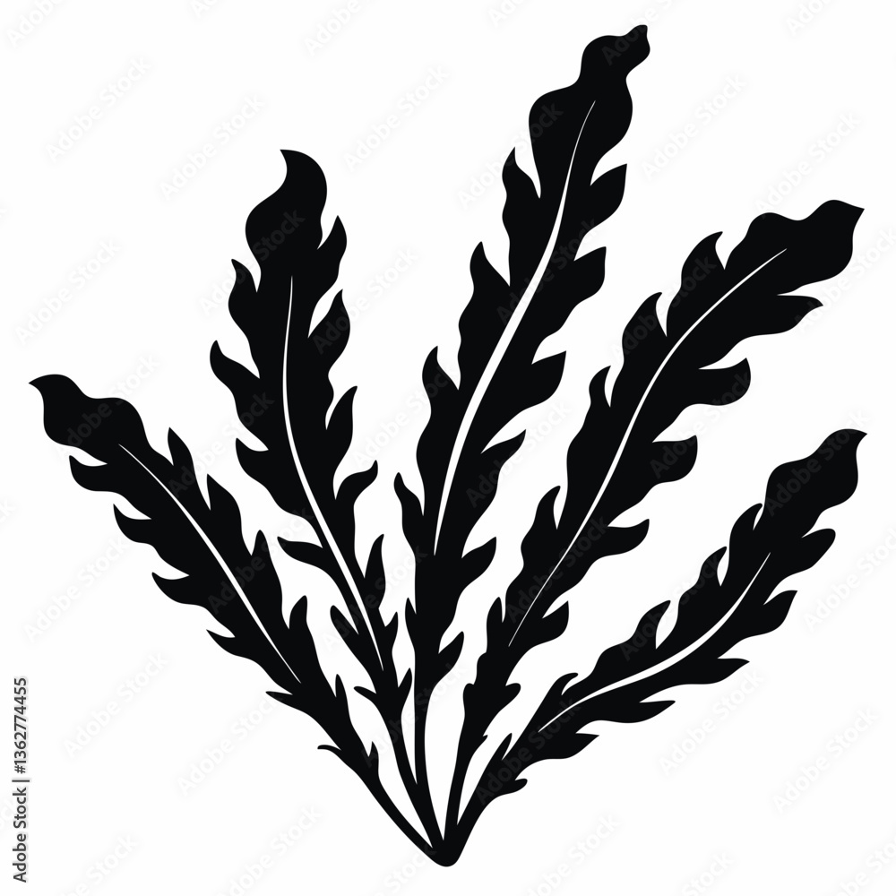 Obraz premium Decorative seaweed silhouette with ruffled leaves on white