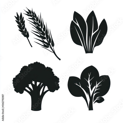Healthy food ingredients wheat, spinach, broccoli;  white background, recipe illustration