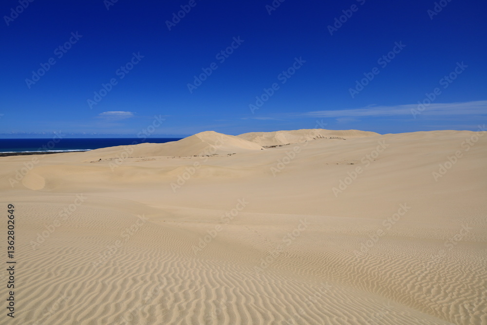 Te Paki Sand Dunes, also called the Giant Sand Dunes, are a collection of sand dunes located on the Northland Peninsula of New Zealand Te Paki Sand Dunes, also called the Giant Sand Dunes, are a collection of sand dunes located on the Northland Peninsula of New Zealand