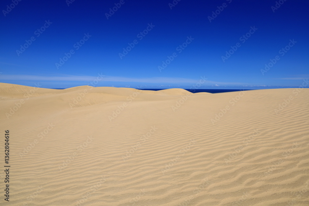 Te Paki Sand Dunes, also called the Giant Sand Dunes, are a collection of sand dunes located on the Northland Peninsula of New Zealand Te Paki Sand Dunes, also called the Giant Sand Dunes, are a collection of sand dunes located on the Northland Peninsula of New Zealand