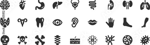 Human organ, anatomy icon set. Vector glyph pictograms of brain, heart, lungs, liver, stomach, intestine, kidney medical, healthcare, and biology concept black silhouette illustration.