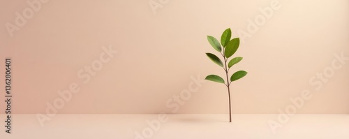 Low-key photography of a single stem with leaves on a minimalist background, plant life, plant stem, branchy