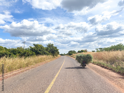 Motorbike Carrying Grass on a Rural Road, Siem Reap Countryside