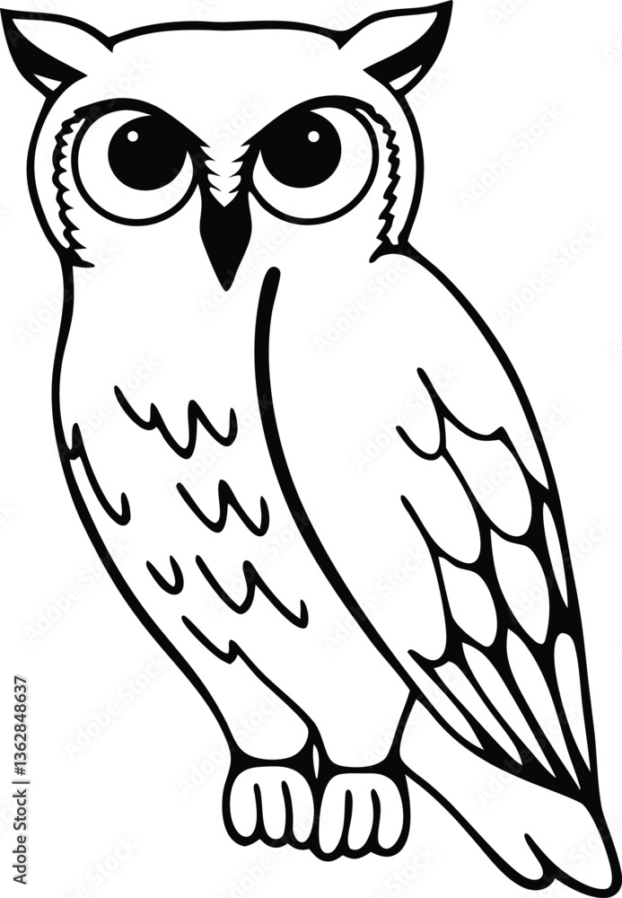 Fototapeta premium owl on white background