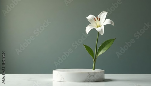 A single white lily on a white marble pedestal, , white marble, pedestal