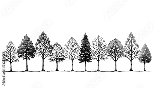 Minimalist outline of trees on a gentle hill in a simple monochrome design