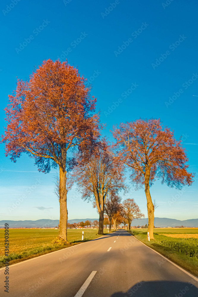 Obraz premium Autumn or indian summer view with the Bavarian Forest in the background near Paitzkofen, Strasskirchen, Straubing-Bogen, Bavaria, Germany