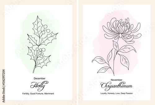 Holly, Chrysanthemum December birth month flower print. Botanical floral line art drawing with Holly flower meaning. Hand drawn black ink outline vector illustration on watercolor pink background.