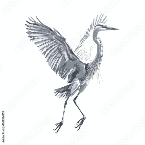 Graceful illustration of a heron in mid-flight with wings outstretched on a white background