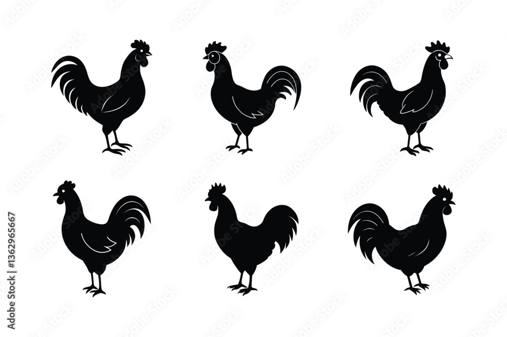 Fototapeta premium vector illustration black silhouette of a rooster