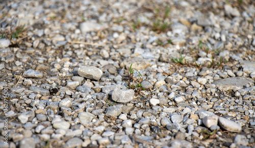 Wallpaper Mural Steine, Boden Torontodigital.ca