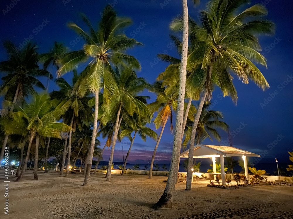 palm trees on the beach