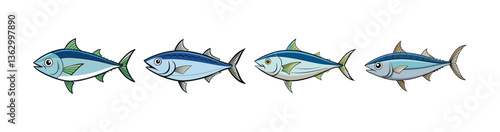 Set of Vibrant Atlantic Bonito Colorful Art Display
