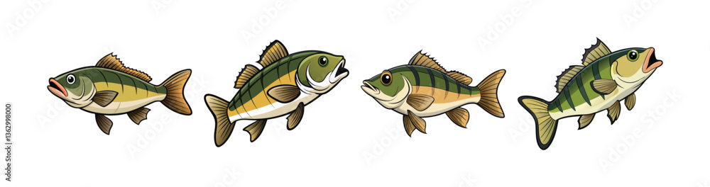Set of Elegant Australian Bass Colorful Art Representation Set of Elegant Australian Bass Colorful Art Representation